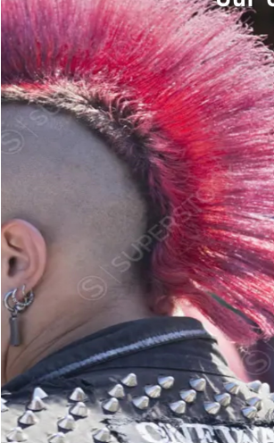 Mike Juggins_punk